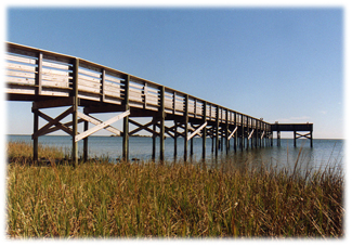 Crystal River Fishing 